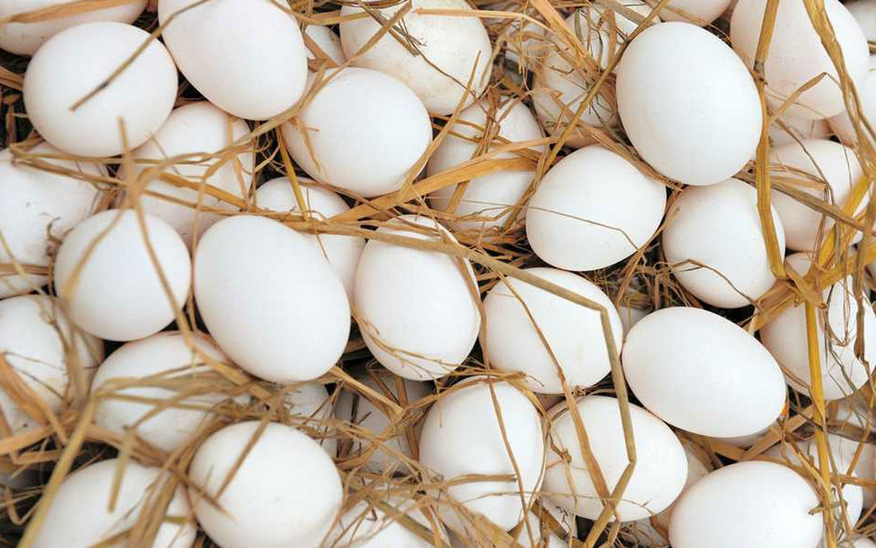Yumurta KDV indirimini de yıktı geçti! Ticaret Bakanlığı’ndan flaş talimat