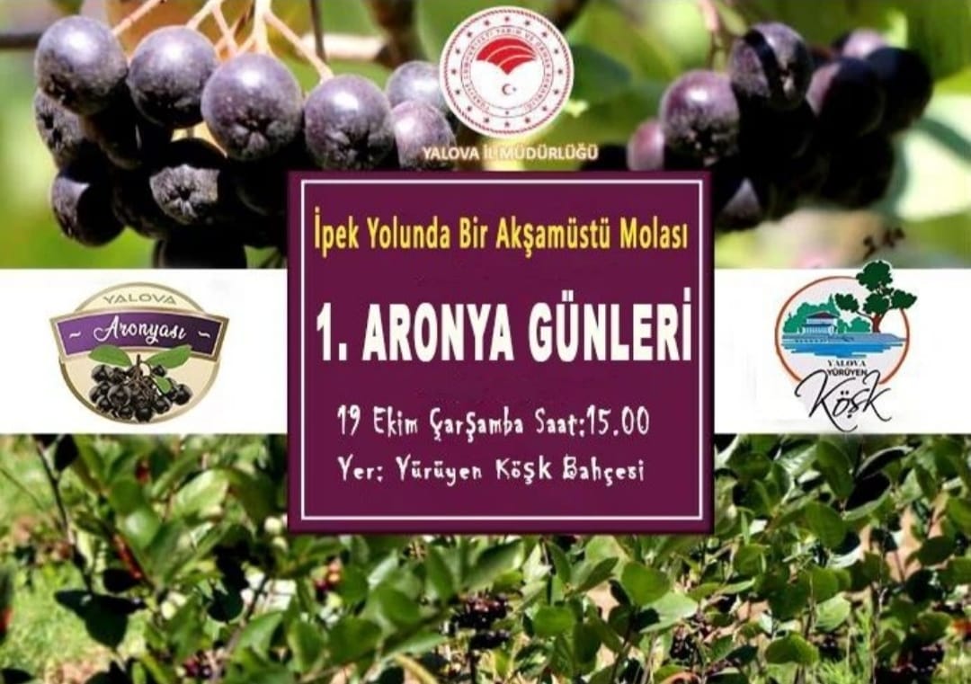 1. ARONYA GÜNLERİ  YÜRÜYEN KÖŞK’TE YAPILDI